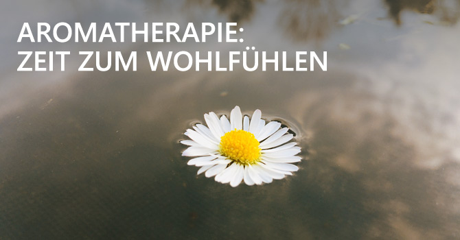 Aromatherapie - Kamillenblüte schwimmt auf dem Wasser